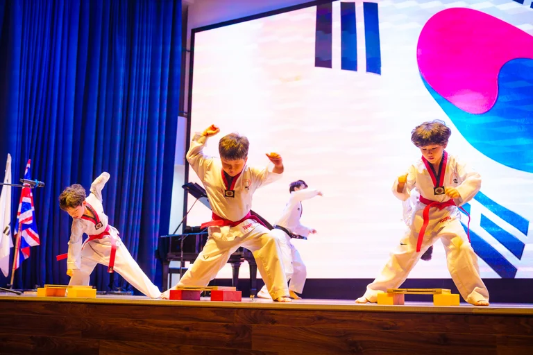 Taekwondo