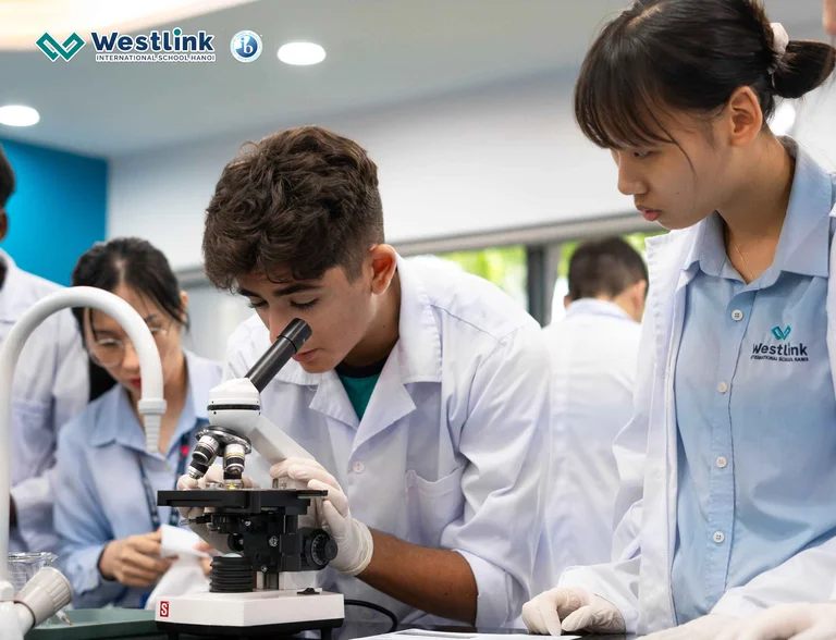International Accreditation Explained for Parents | Westlink 