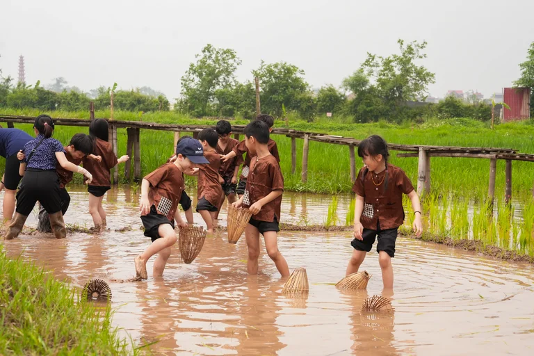 Chuyến đi thực địa